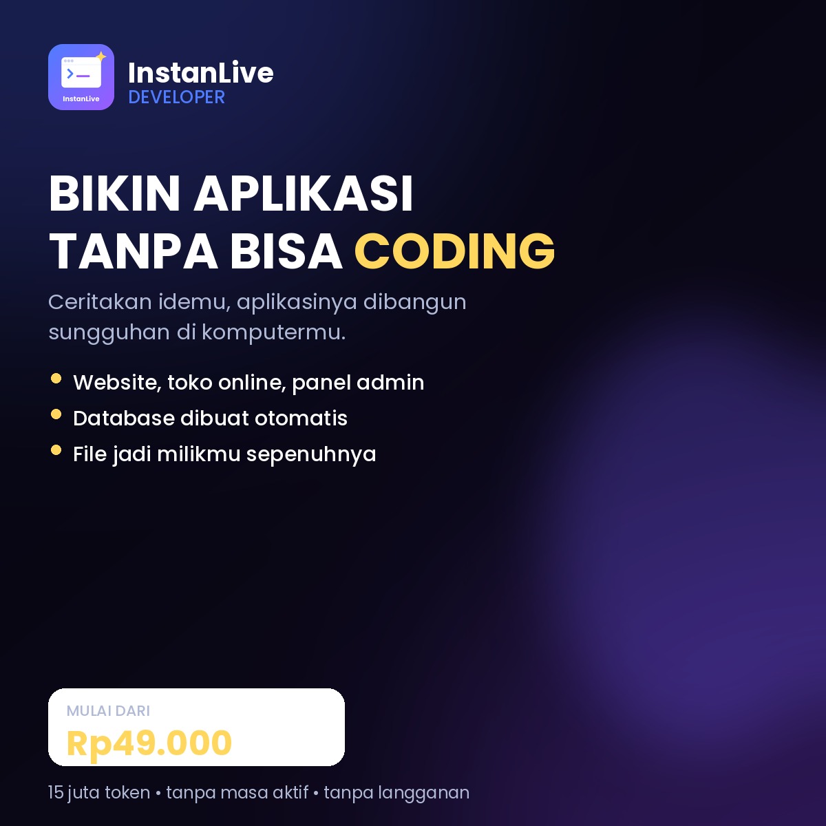 Programmer Pemula